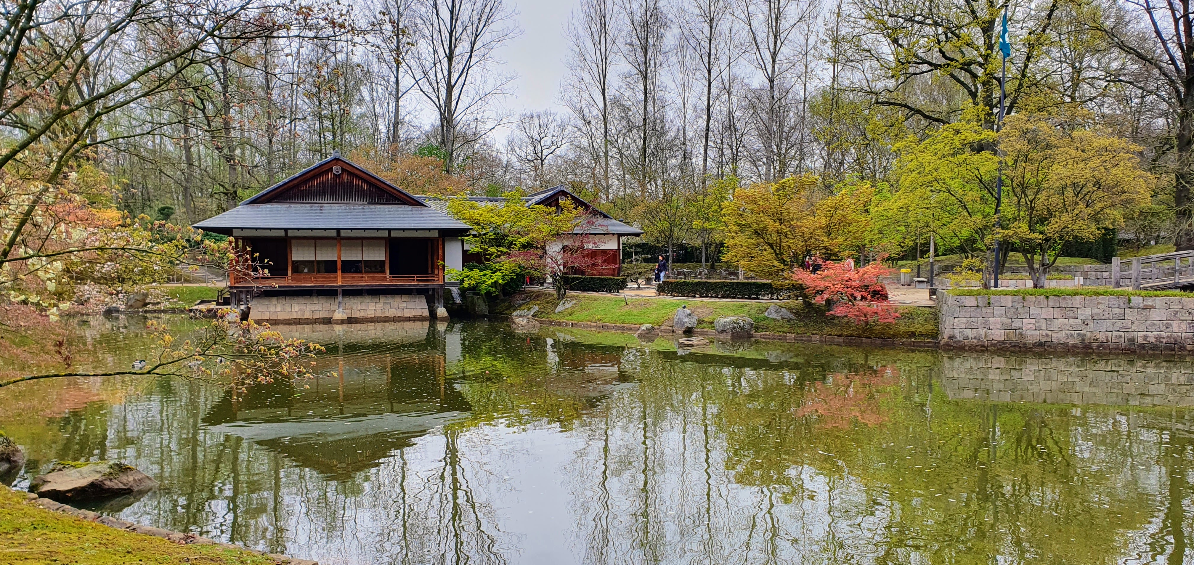 japanse tuin