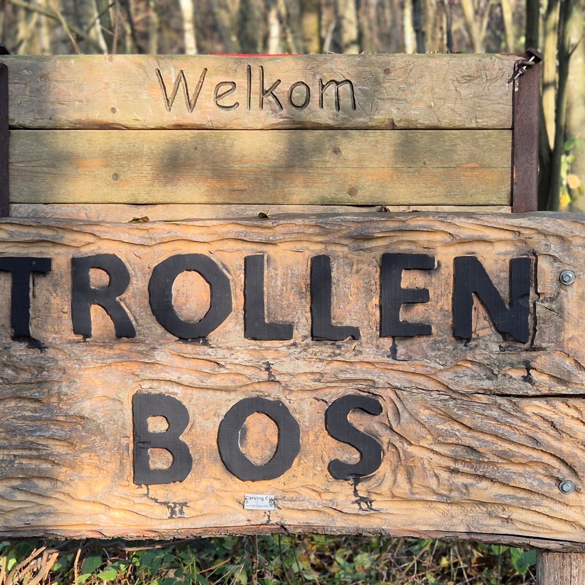 Op trollenjacht in de Schorre